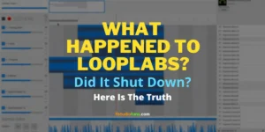 What happened to Looplabs? Did It Shut Down? Here Is The Truth